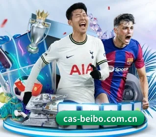 cas-beibo.com.cn APP 界面